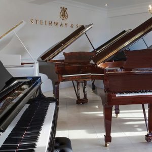 Steinway Models