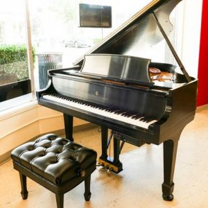 Steinway auto play